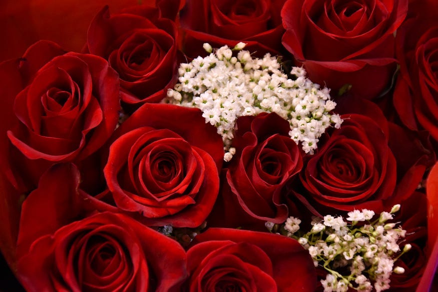 Picture of red roses