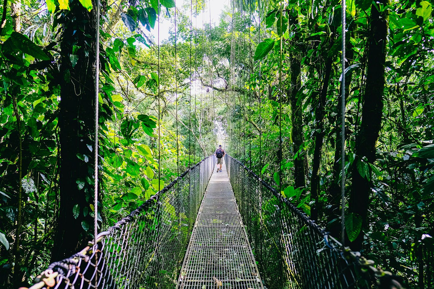 Bridge in Costa Rica jungle. Photo by Fabio Fistarol / Unsplash Bridge in Costa Rica jungle. Photo by Fabio Fistarol / Unsplash