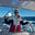 Merideth Cohrs ⛵️'s avatar