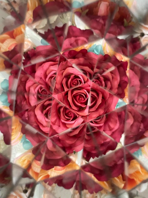 Photos of plants, stickers, pantry items through a kaleidoscope