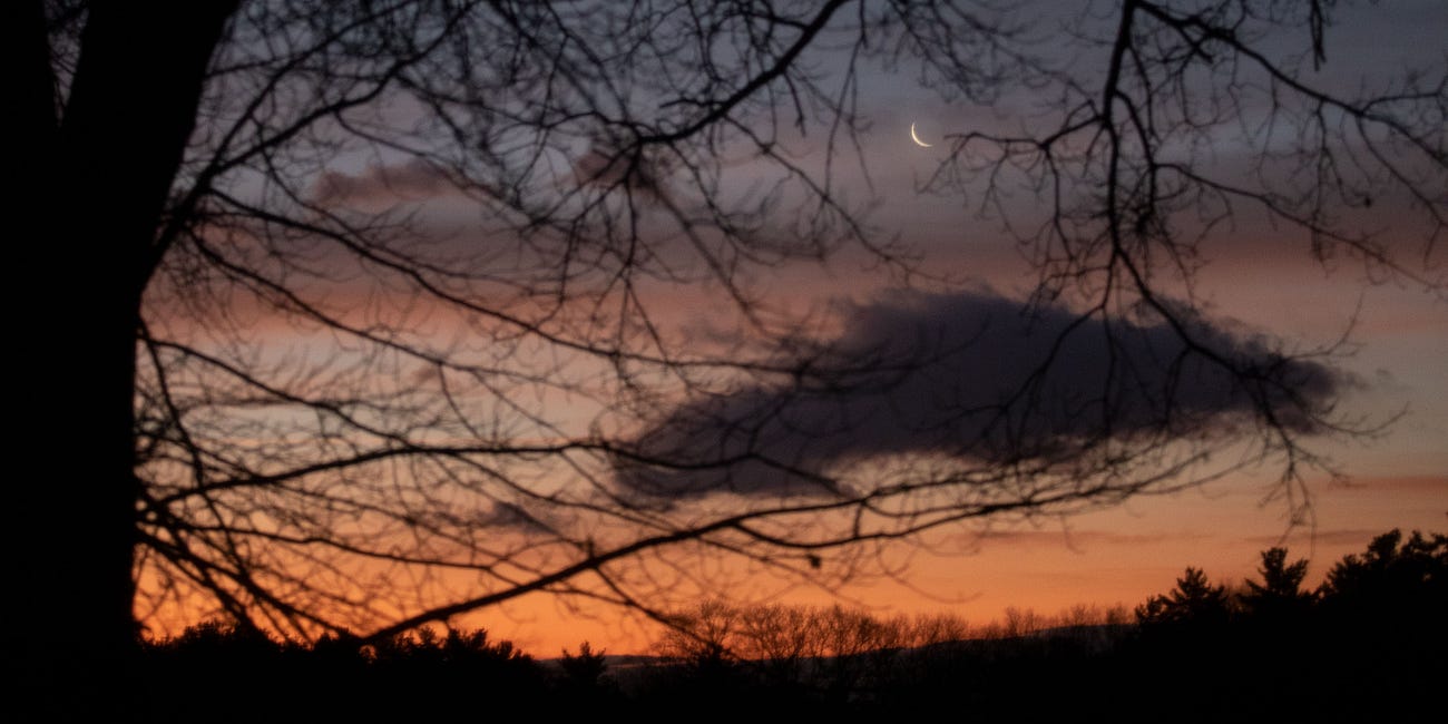 Planet Waves Weekly Horoscope for Dec. 17, 2025, horoscope #1,588