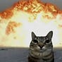 MP.'s avatar