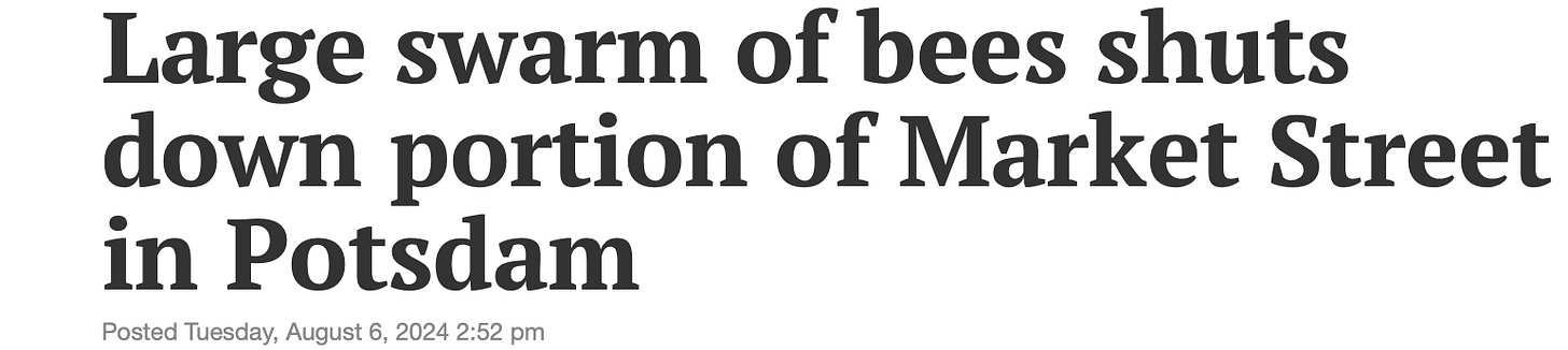 image 14.png image 14.png