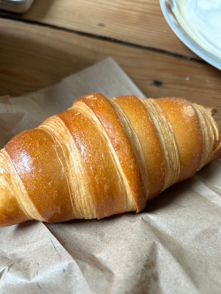 dog curled up like a croissant next to a real croissant