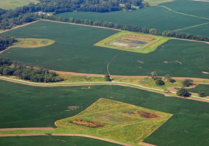 How Small Wetlands Can Reduce 50% of Agriculture Runoff | TNC