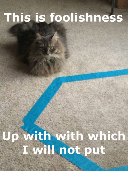 Kali_Foolishness_Cat_Circles Kali_Foolishness_Cat_Circles