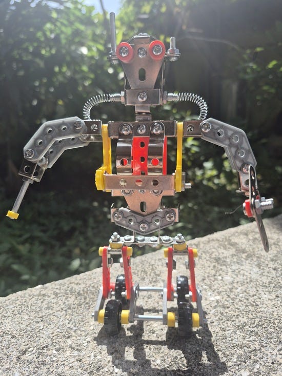 DIY model robot