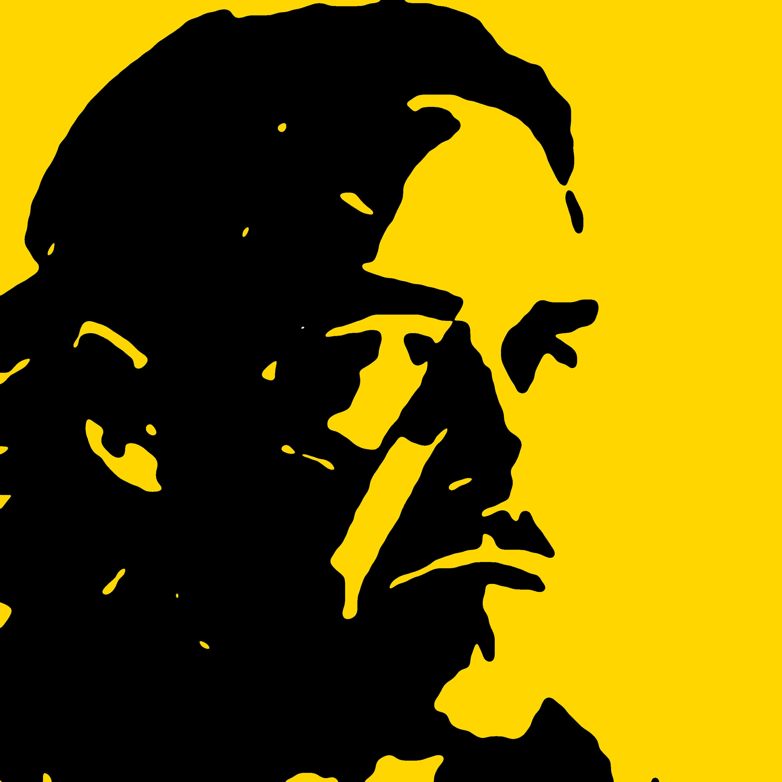 A Turtle is Free to Fly