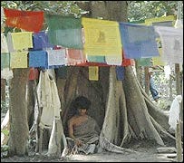 buddhaboy buddhaboy