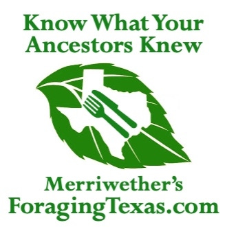 Merriwether’s Substack