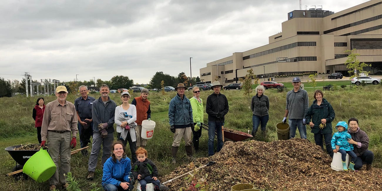 The Power of Volunteering - NeighbourWoods North