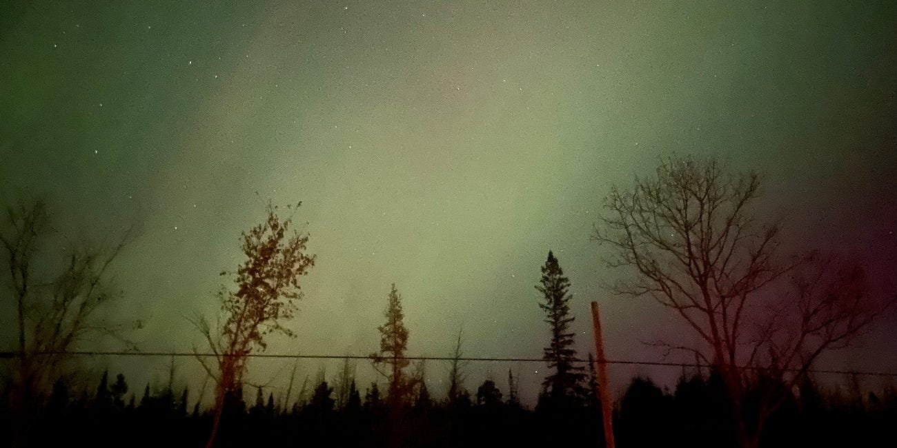 Between Our Steps: The Gift of Night