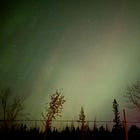 Between Our Steps: The Gift of Night