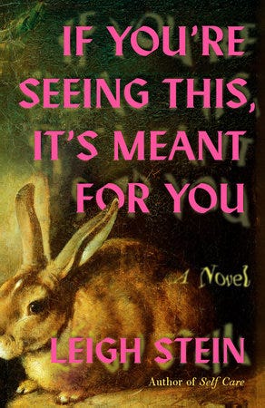 If You’re Seeing This, It’s Meant for You by Leigh Stein