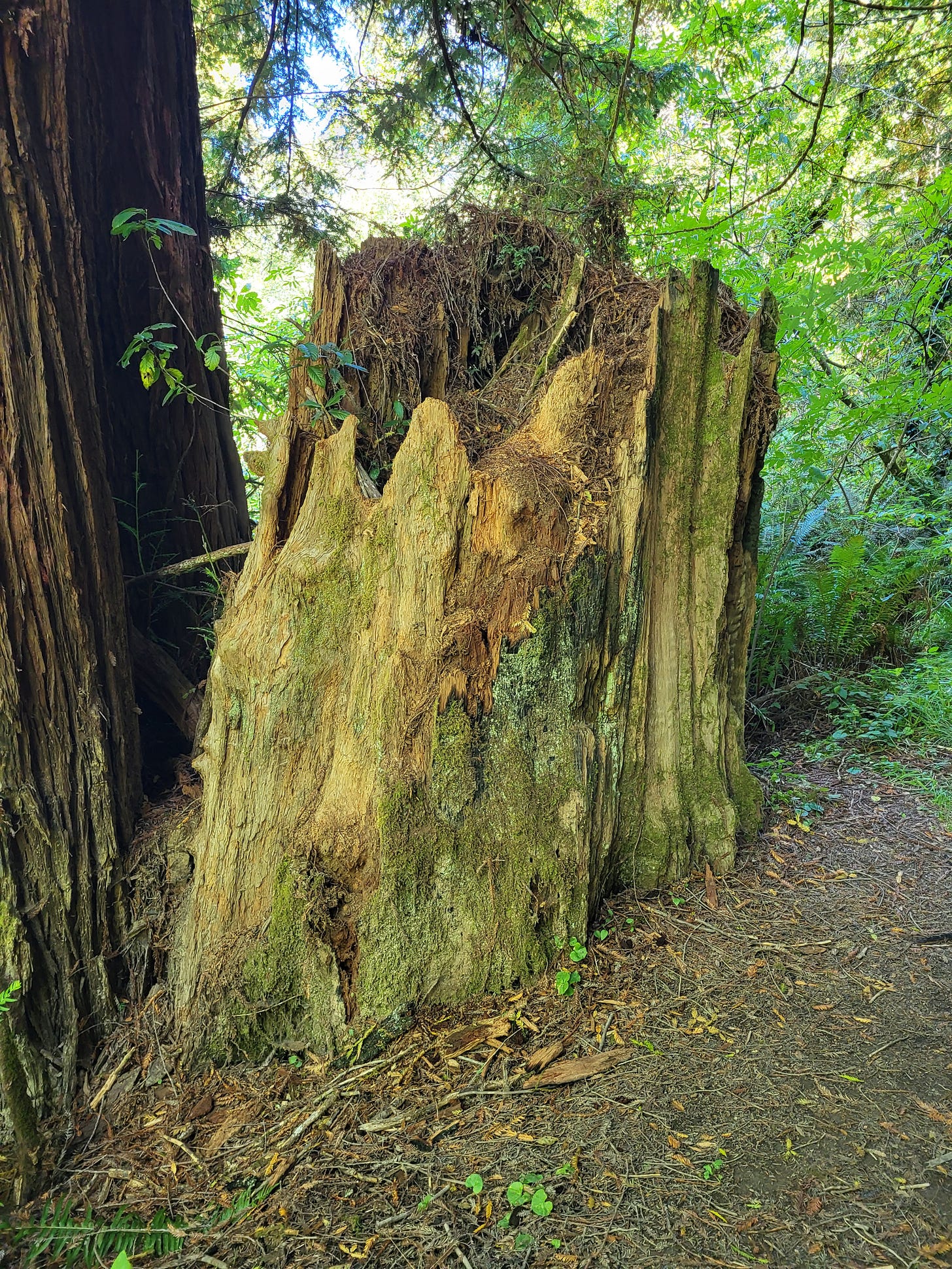 From Scarcity to Abundance: Trusting God with What You Have From Scarcity to Abundance: Trusting God with What You Have