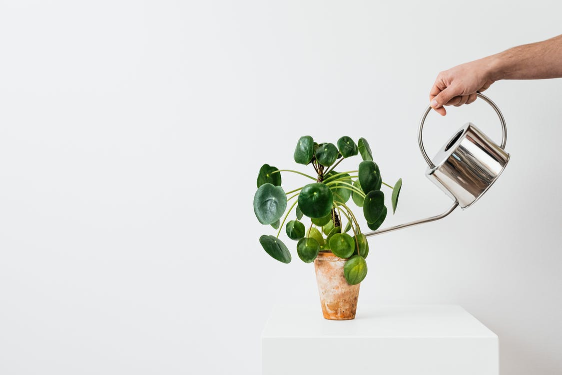Foto profissional grátis de adulto, alimentação saudável, alimento