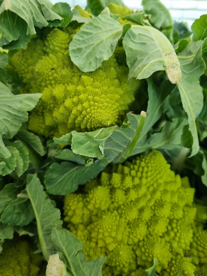 At the farmers' market December