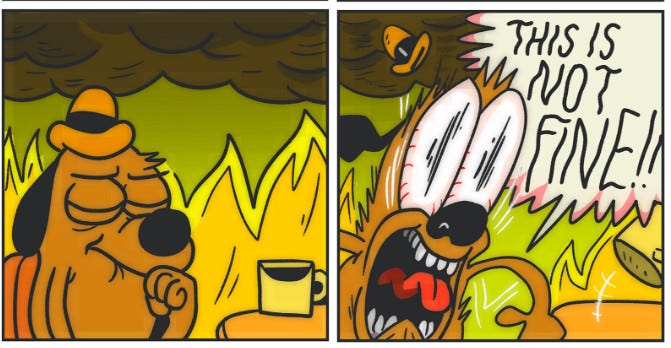 2016 update from “this is fine” dog: things are not, in fact, fine - Vox 2016 update from “this is fine” dog: things are not, in fact, fine - Vox