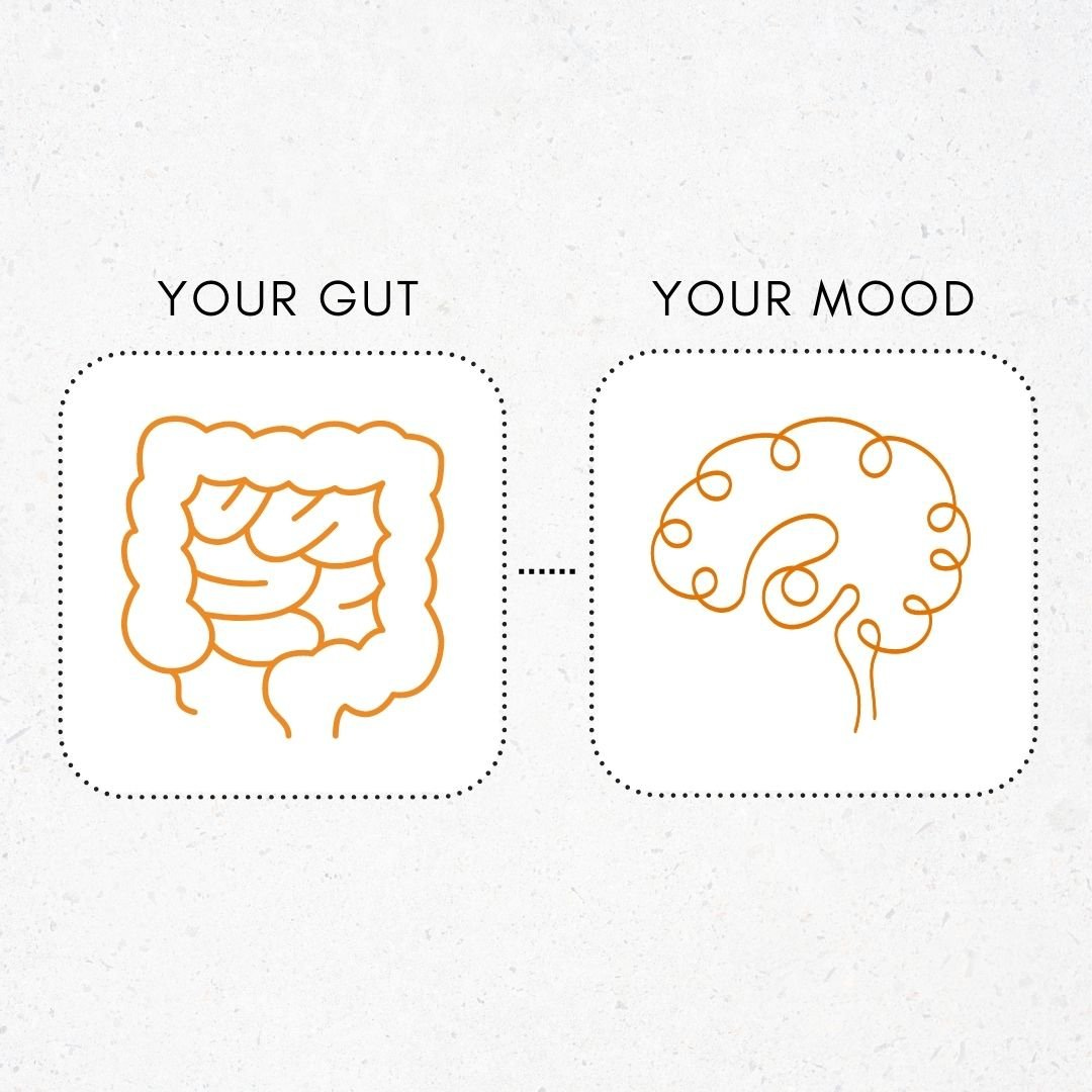 Gut_Mood_Blog Gut_Mood_Blog