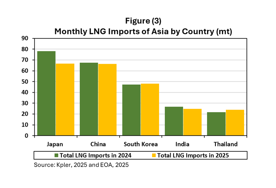 Annual Review of the Global LNG Market in 2025 and Outlook for 2026