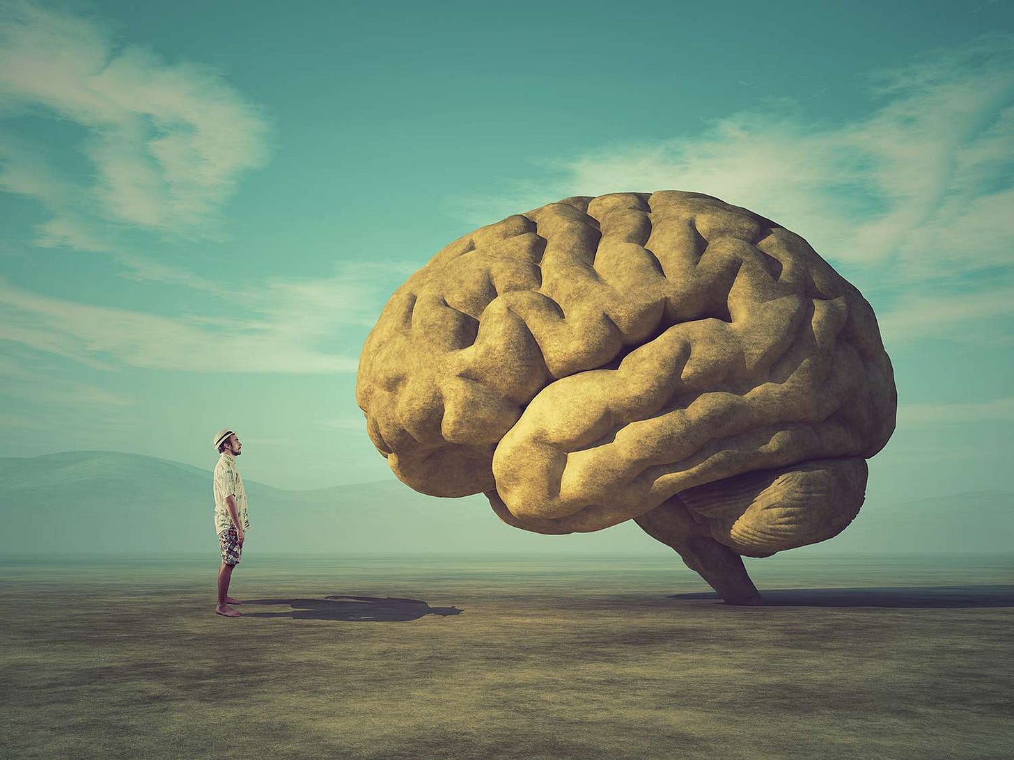 What Makes Us Human? 11 Important Features