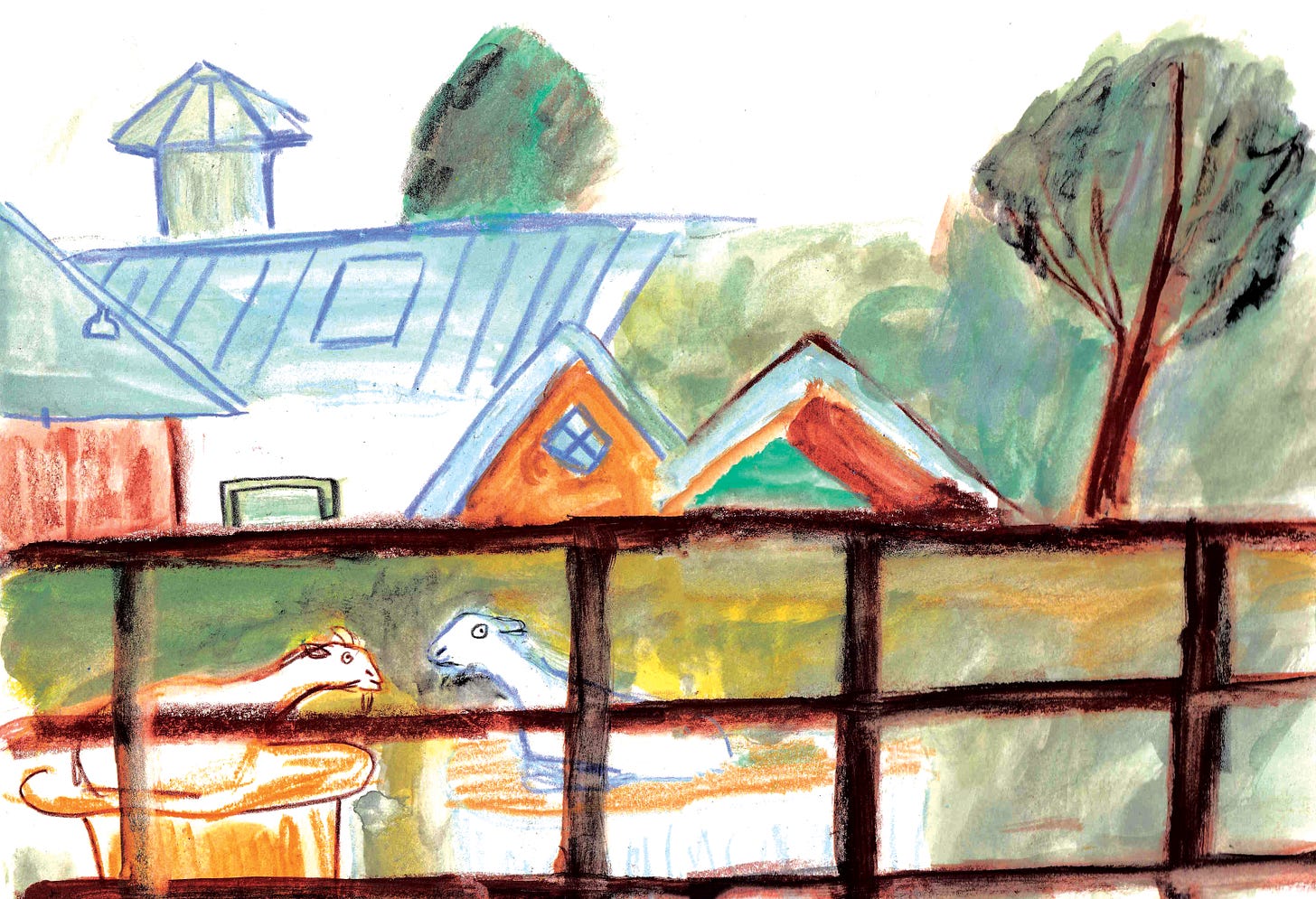 goat farm illustration by Beth Spencer