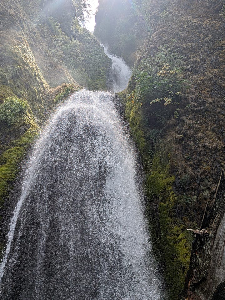 A waterfall in the Columbia River Gorge where we hiked with family. Part of a jellyfish at Cannon Beach.