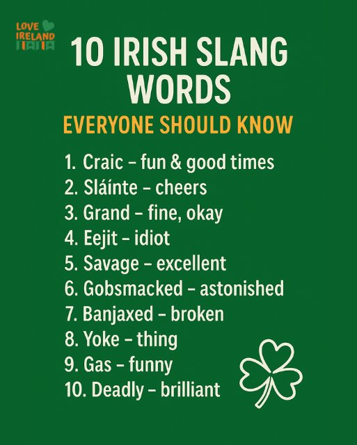 May be an image of text that says "LOVE IRELAND 東内県肉 10 IRISH SLANG WORDS EVERYONE SHOULD KNOW 1. Craic fun & good times 2. Sláinte cheers 3. Grand fine, okay 4. Eejit-idiot Eejit idiot 5. Savage- -excellent 6. Gobsmacked astonished 7. Banjaxed broken 8. Yoke -thing 9. 9.Gas-funny Gas- -funny 10. 10.Deadly-brilliar Deadly brilliant"