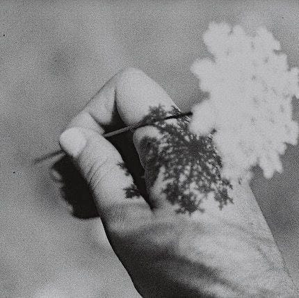 An image added by elisanous on Apr 22, 2025. May present: hand.