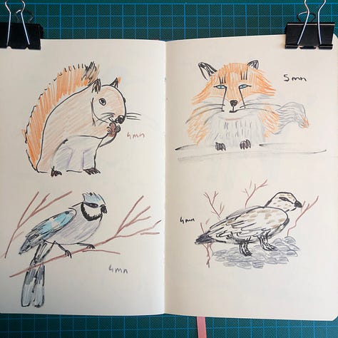 photos des 6 doubles-pages où j'ai dessiné au crayon Pitt Graphite Matt de Faber-Castell et crayons de couleurs Luminance de Caran d'Ache