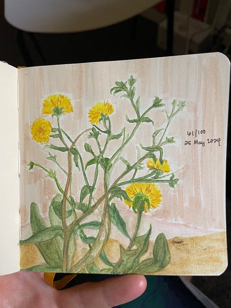 Nine drawings of outdoor spaces and plants, some done with pastel, some done with just pen.