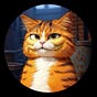 howdade's avatar