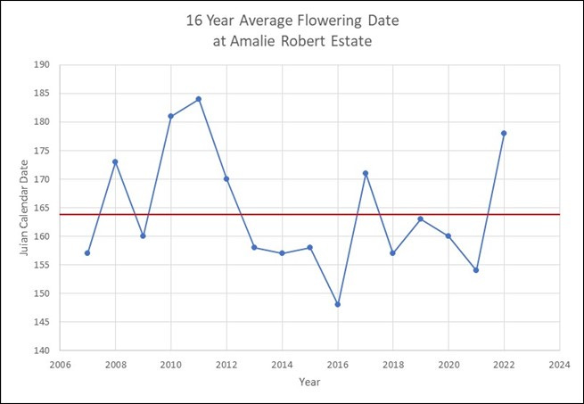 Julian calendar date 164 is the average flowering date for the last 16 years at Amalie Robert Estate. Julian calendar date 164 is the average flowering date for the last 16 years at Amalie Robert Estate.
