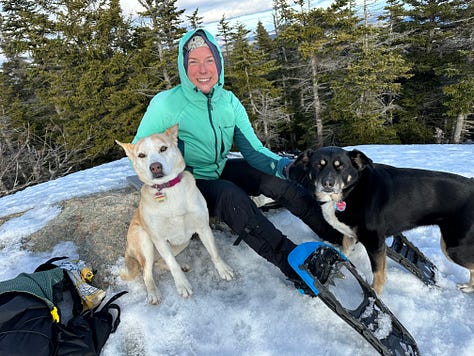 Pictures of Liz, Seth, and the dogs hiking snow-covered mountains
