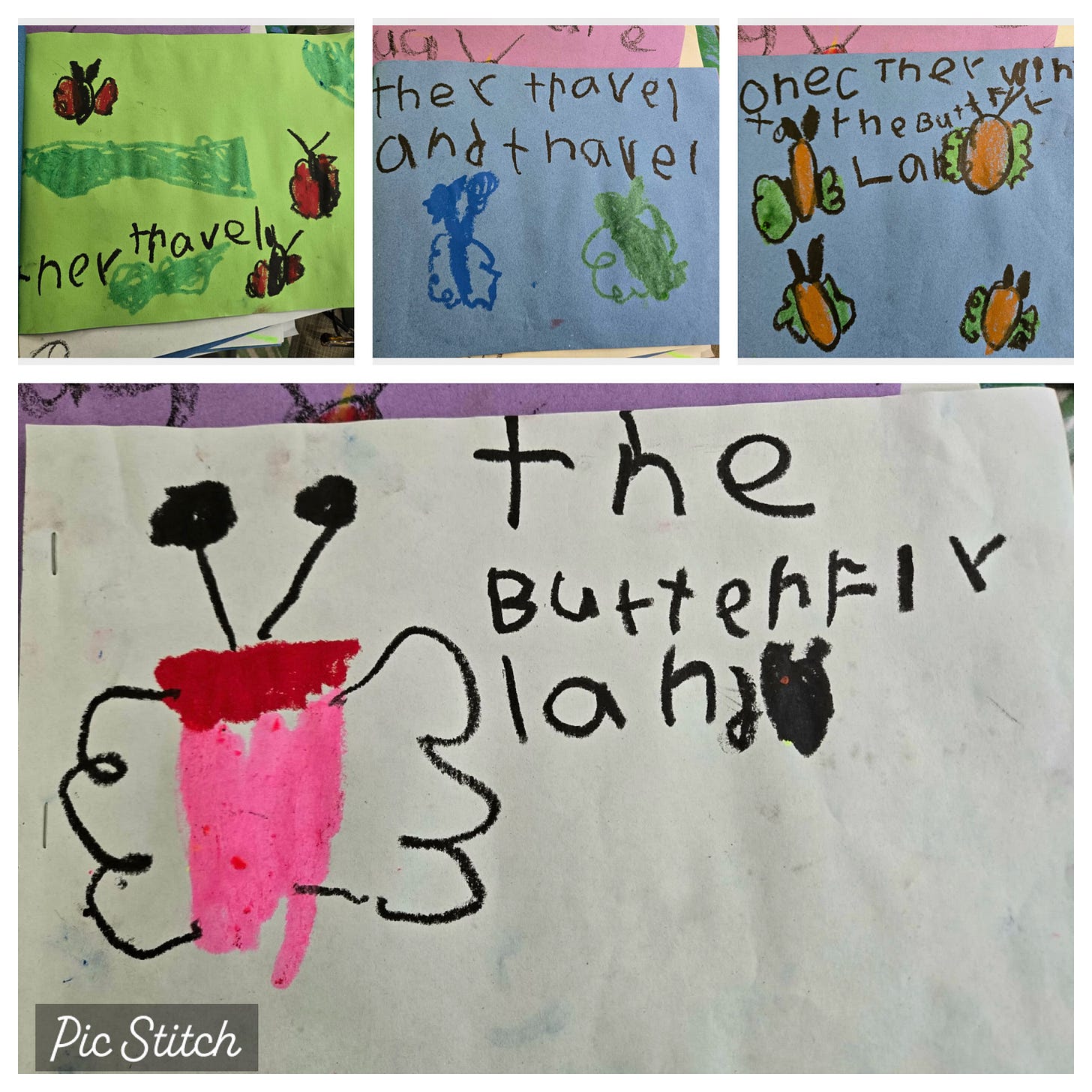 The Butterfly Lake by Delaney Polk