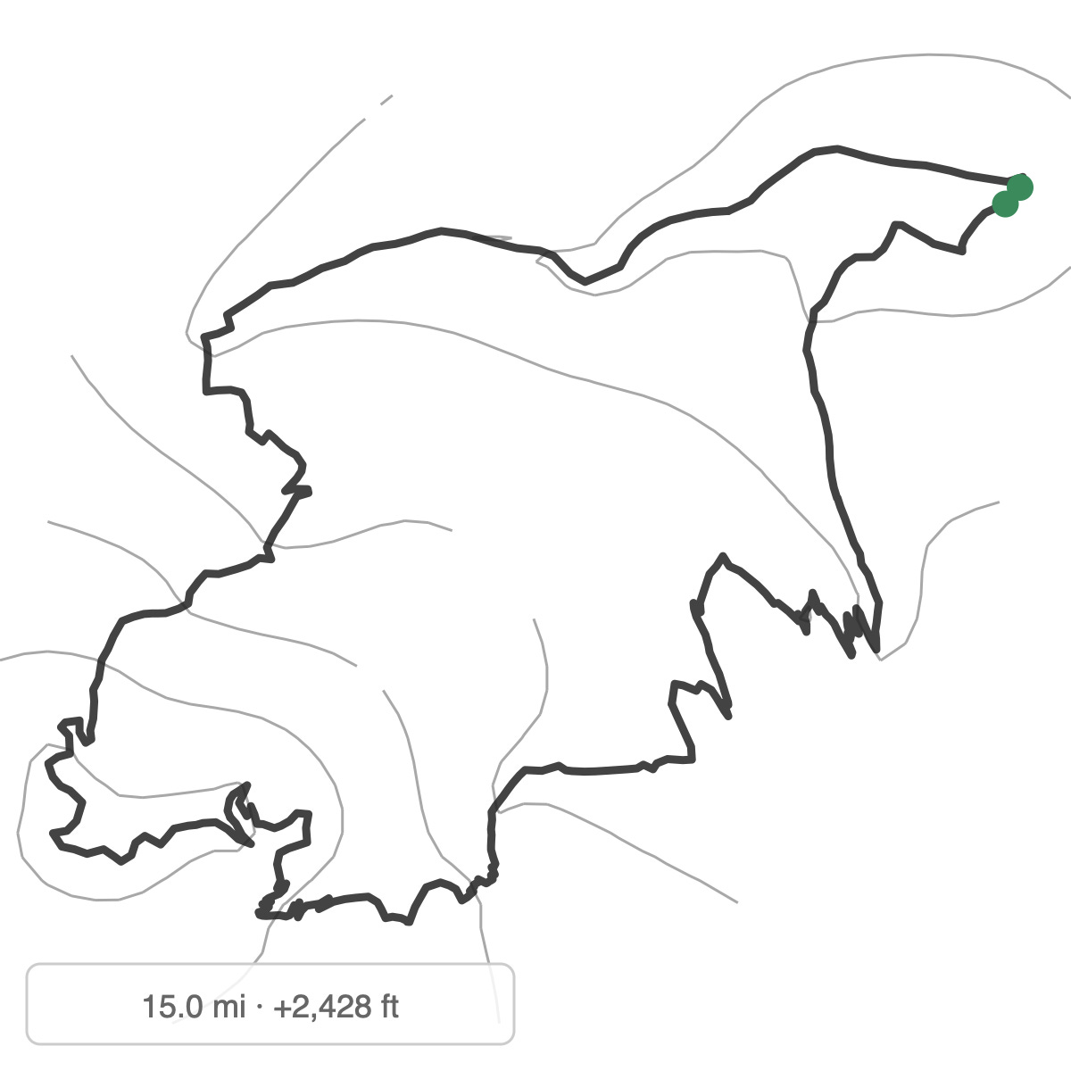 An illustration of the terrain and GPS track in the workout An illustration of the terrain and GPS track in the workout