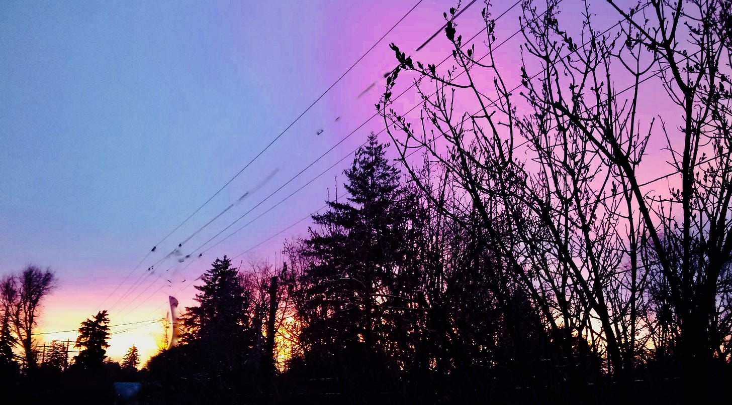 Christmas morning sunrise