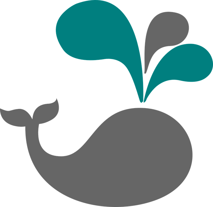 agarwhale
