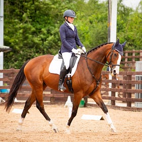 Hagans Croft dressage league kicks off with new classes added