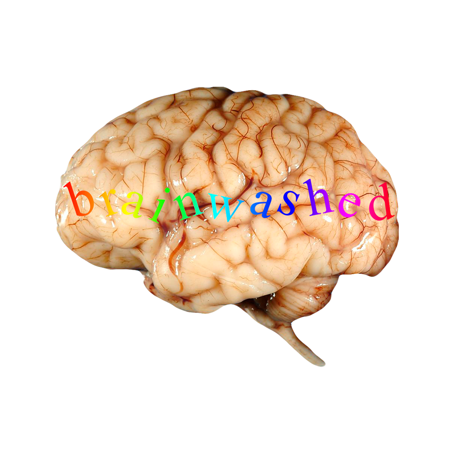 Brainwashed
