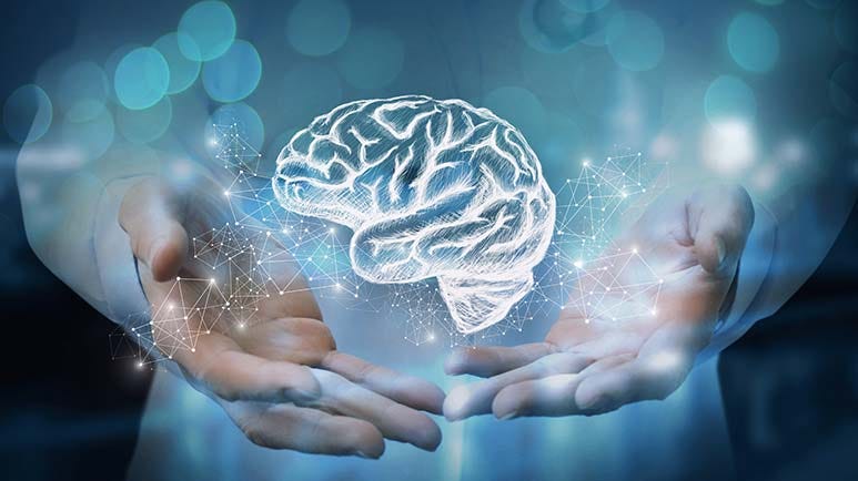 daily activities for brain health