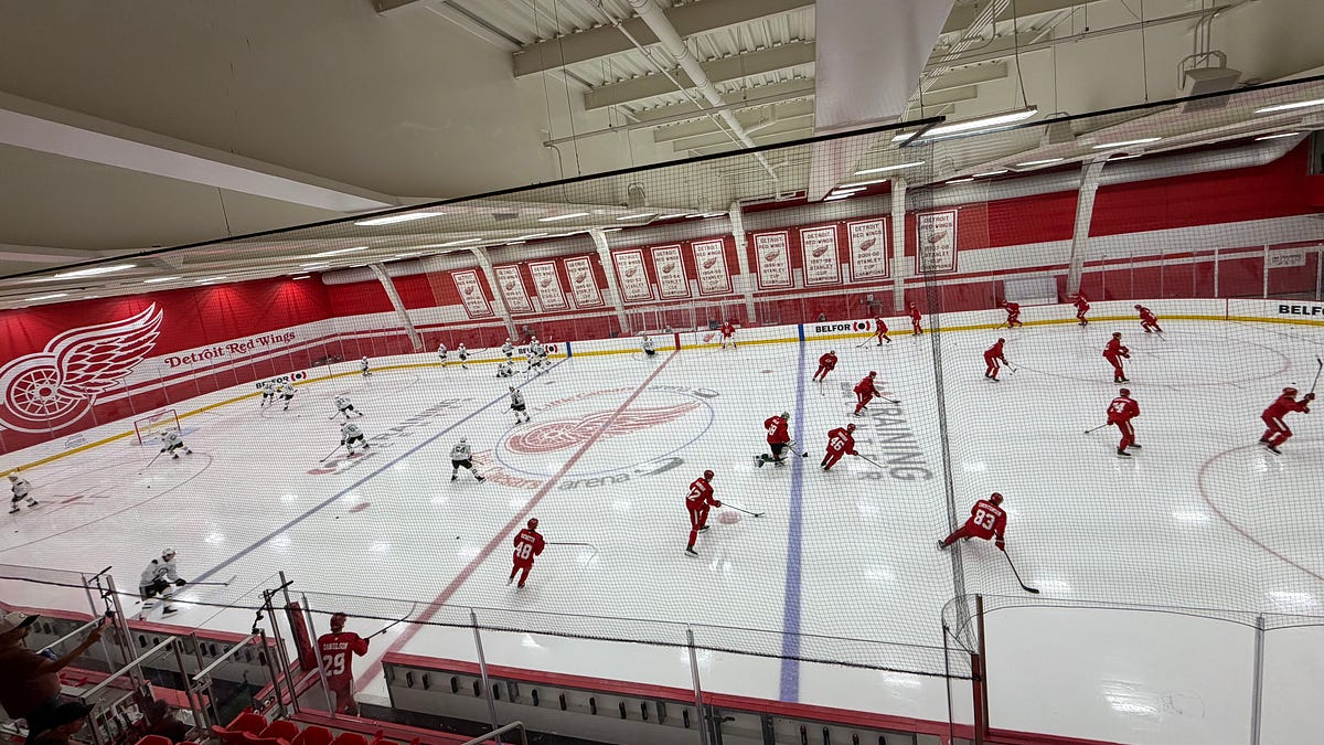 20/20: Red Wings prospects beat Stars in shootout, but does it matter?