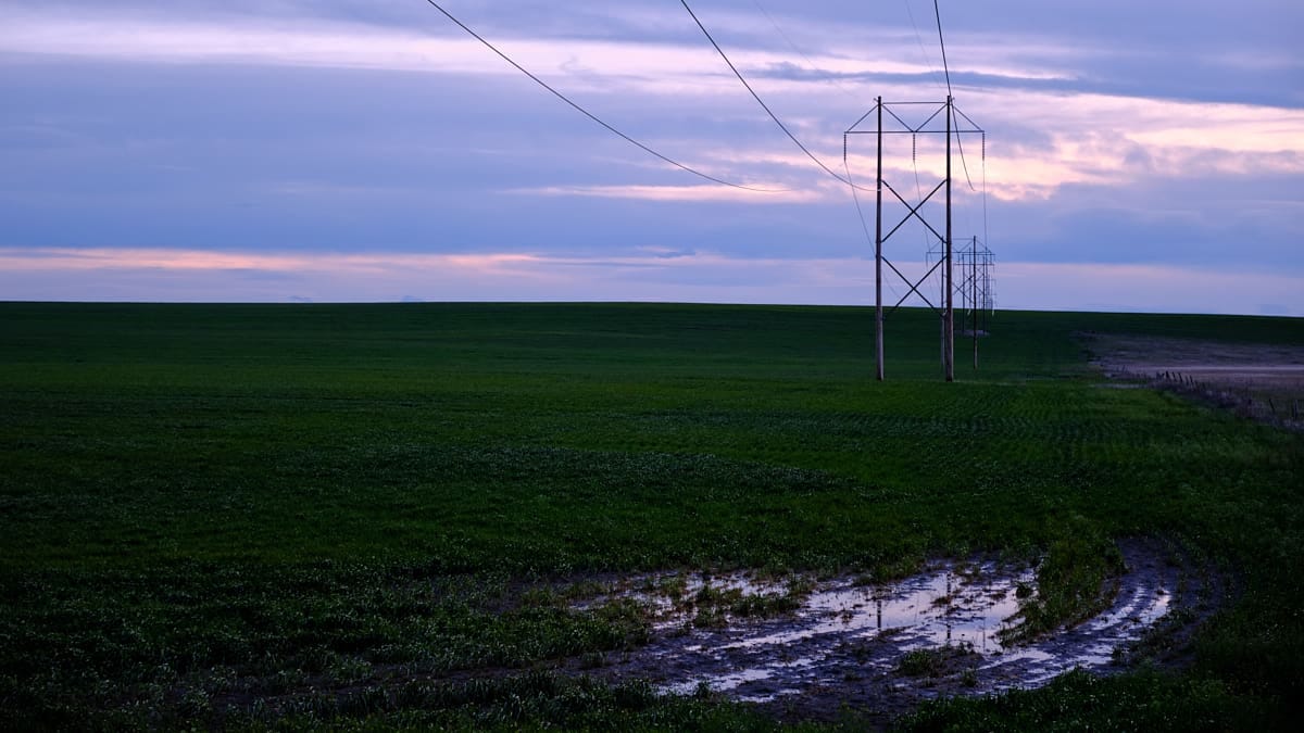 A rural landscape at dusk with power lines stretching across a green field and a puddle reflecting the fading light.