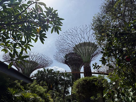 gardens