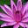 Lynn Powers's avatar