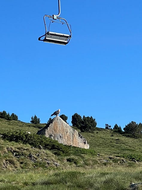 An Eagle and a Mammut in Grau Roig