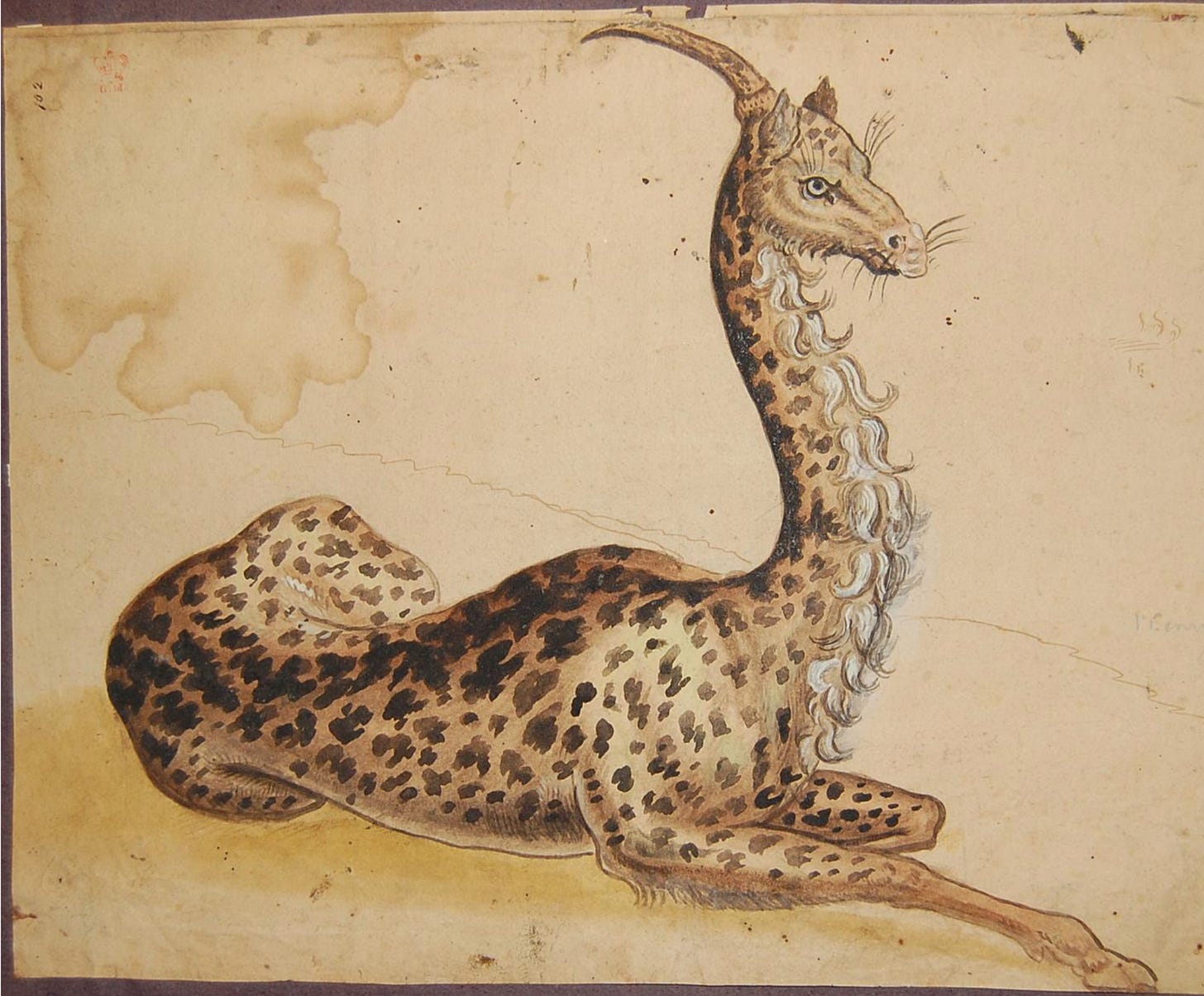 A really beautiful ink and wash picture of an animal that doesn't exist, but should. 