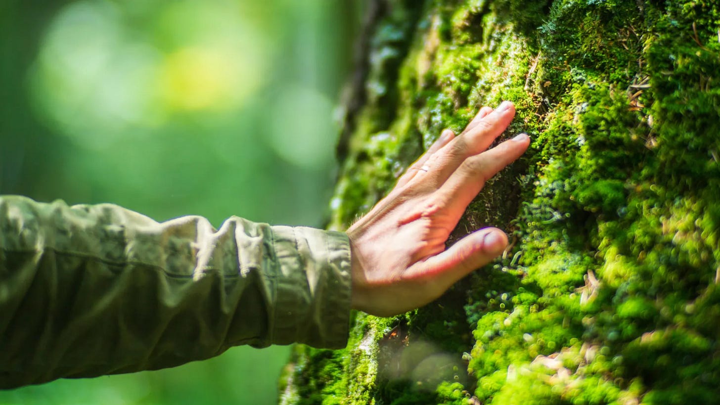 Humans Are Built for Nature Not Modern Life Humans Are Built for Nature Not Modern Life