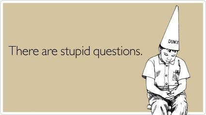 Yes, There is Such a Thing as a Stupid Question