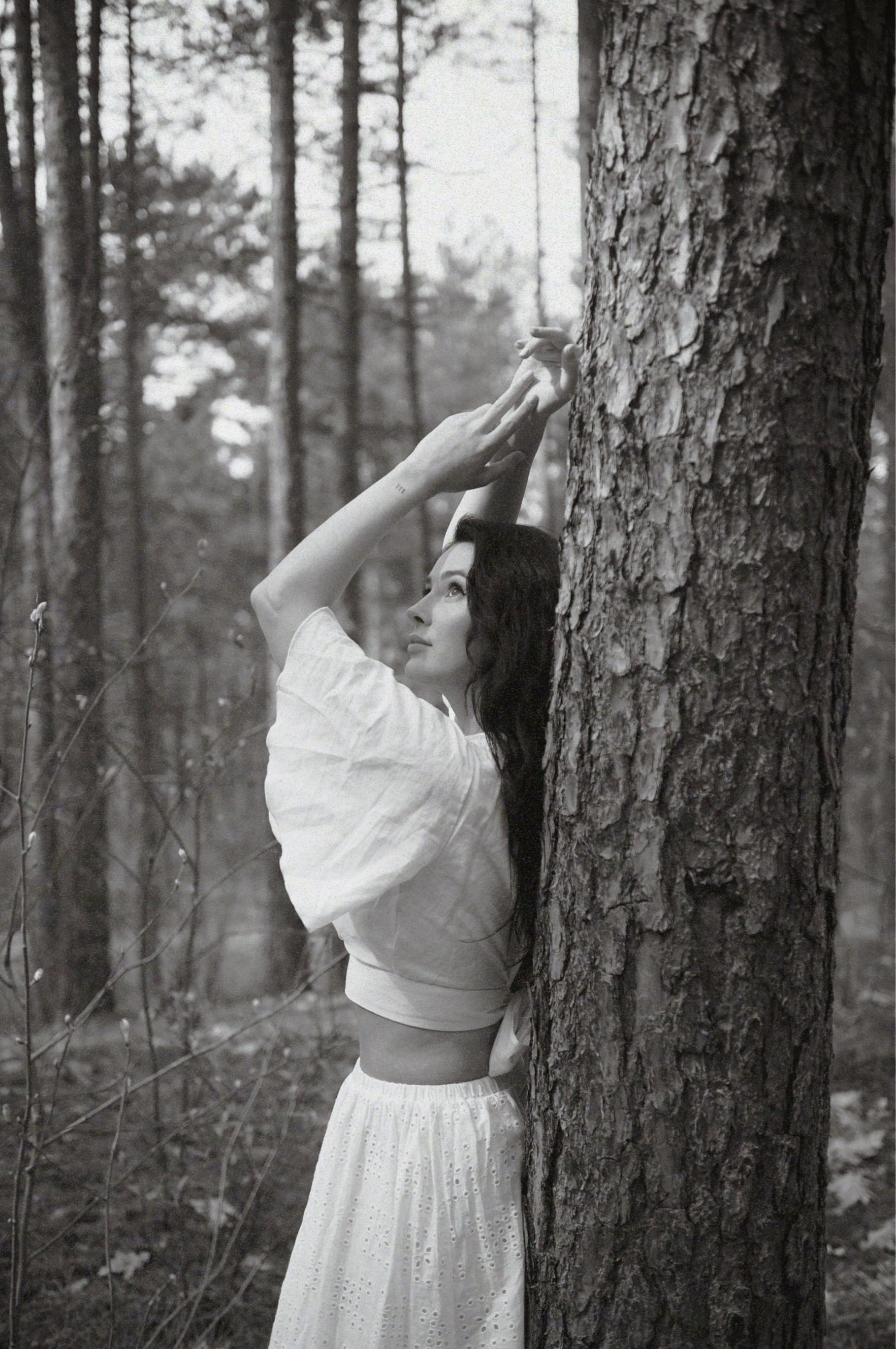 Letters from the moon 